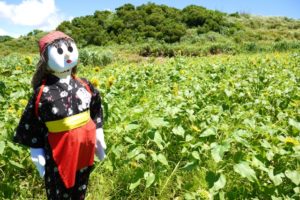 【楽天SPU攻略】せどらーは楽天ブランドアベニューでおしゃれになろう