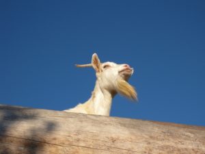 せどりで簡単に稼げたのは昔の話