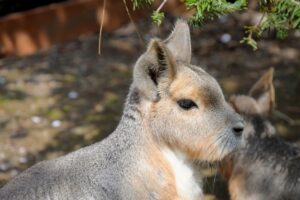 せどりで独立して月収30万円稼ぎたいなんて超絶に楽です