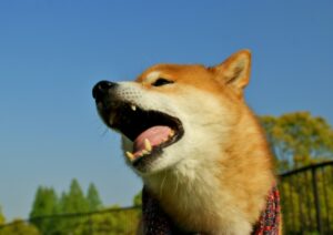 西濃運輸から集荷制限のお願いがきました